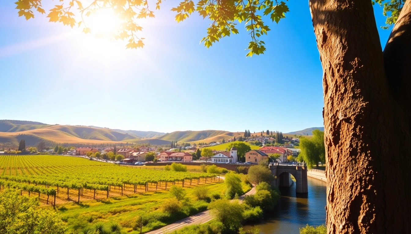 View of Clarksburg CA weather showcasing clear skies over vineyards and the Sacramento River.